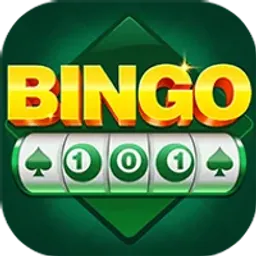 Bingo 101